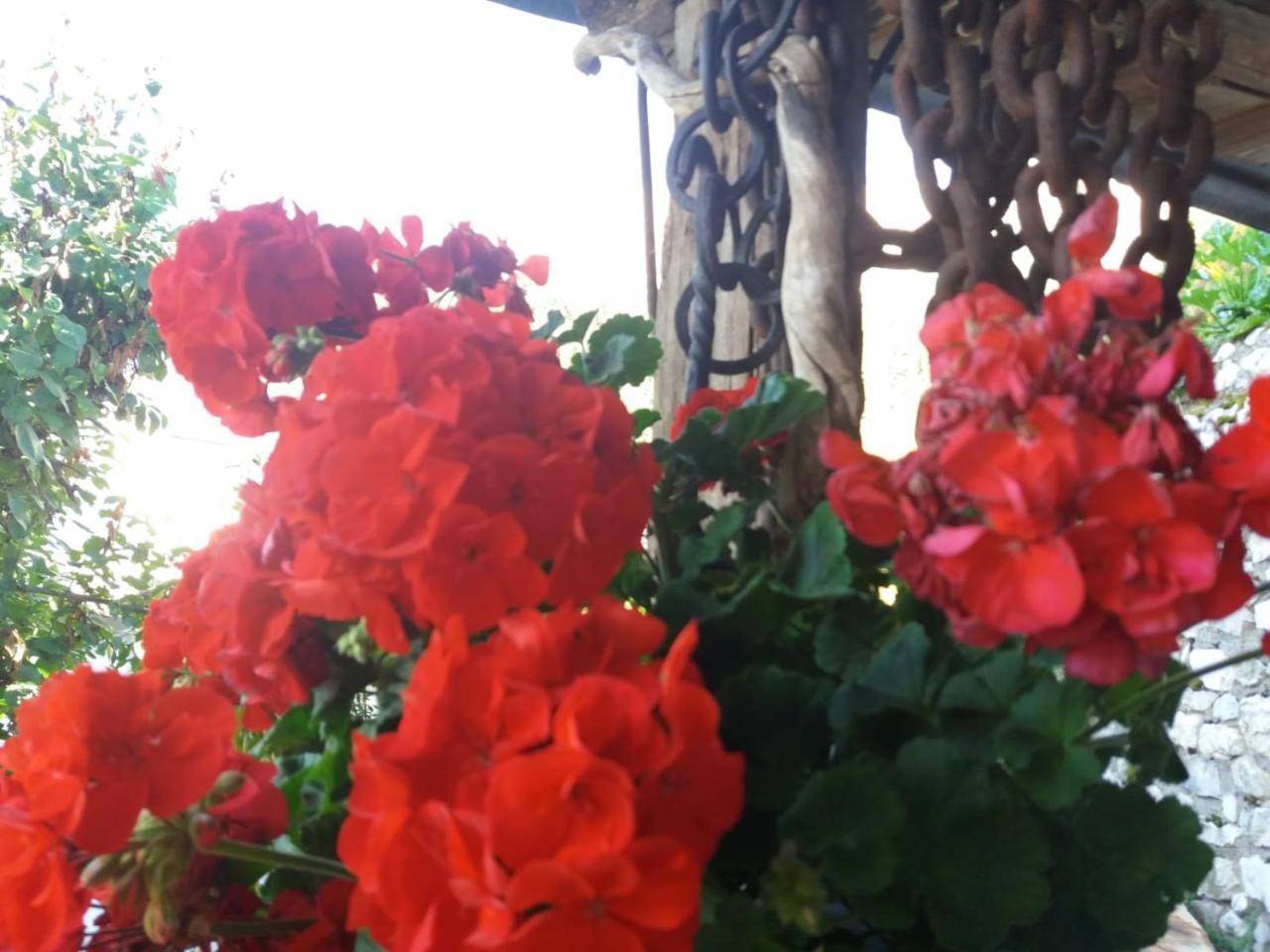 Al Castel Bed and breakfast *